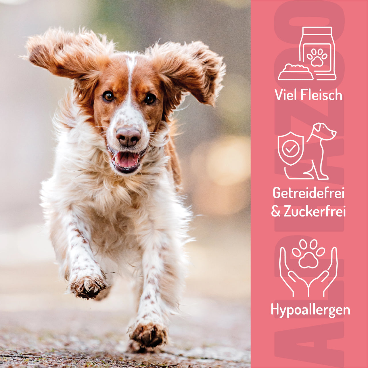 
                      Schwing Die Hooves 65 g
                      