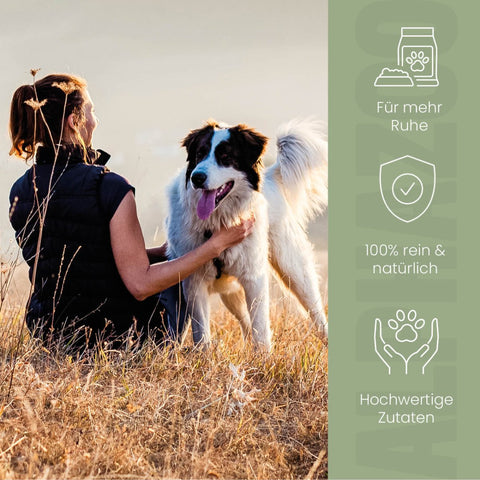 Seelenruhe food oil for dogs Calmness Feeding Oil - Natural relaxation for dogs