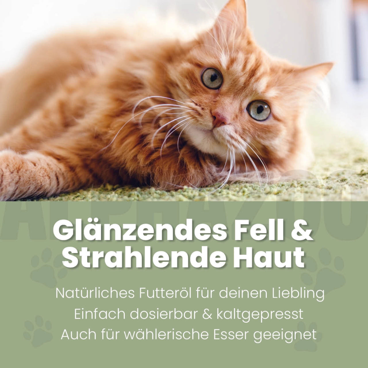 Seelenruhe food oil for cats