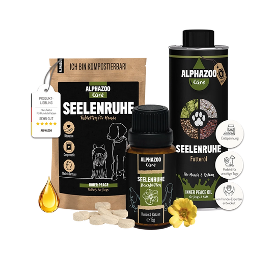 Peace of Mind Combo I Bundle