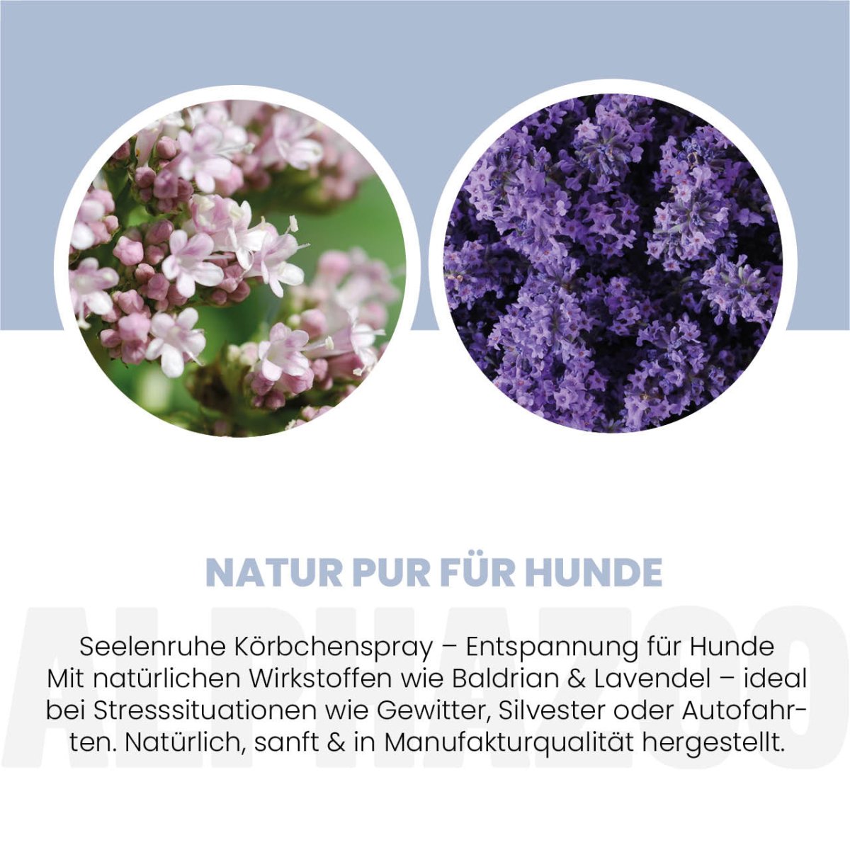 
                      Seelenruhe basket spray for dogs Calming Spray for Dogs – soothing scent with lavender & valerian
                      