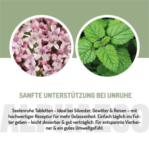 Seelenruhe Tabletten