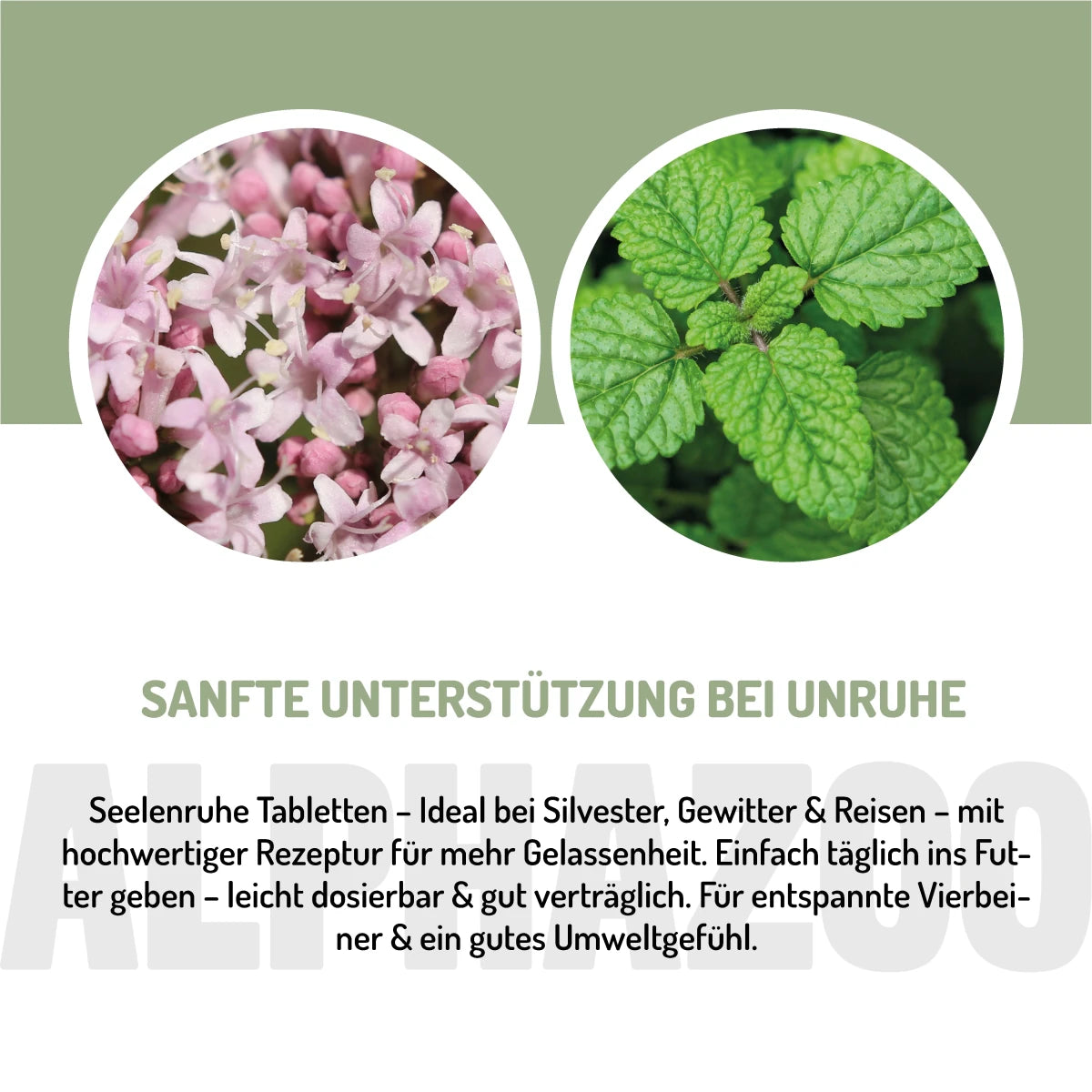 Peace of mind tablets for dogs I Natural relaxation when restless Calmness Tablets - Natural Relaxation for Dogs