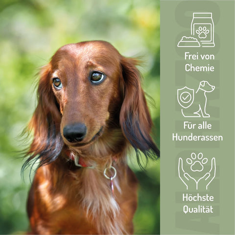 Peace of mind tablets for dogs I Natural relaxation when restless Calmness Tablets - Natural Relaxation for Dogs