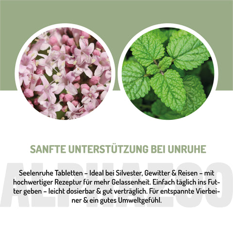 Seelenruhe Tabletten Seelenruhe Tabletten - Natürliche Entspannung für Hunde