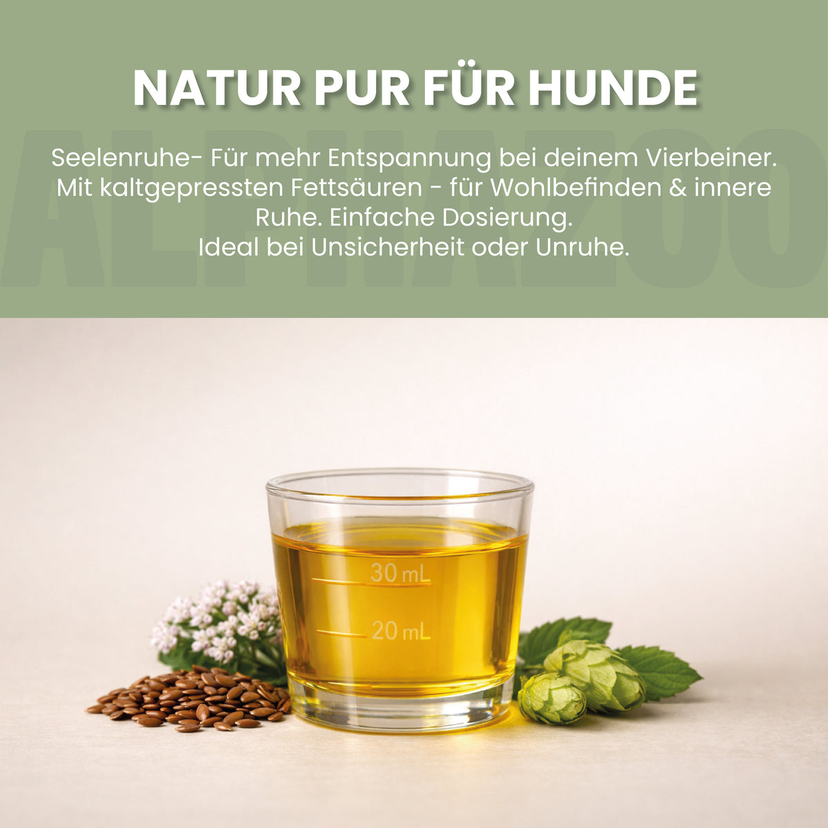 Nachtkerzenöl für Hunde