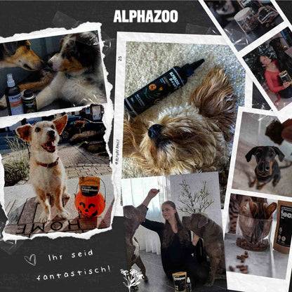 Alpha-Zegg food oil for dogs I Accompaniment in spring & summer