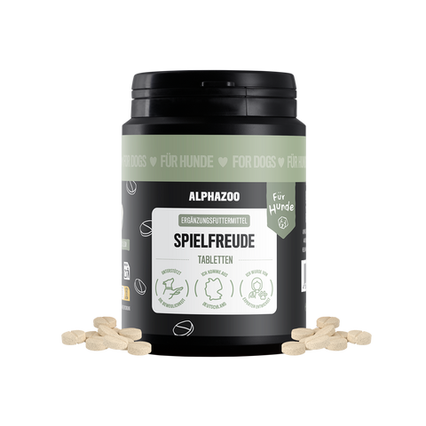 Spielfreude Tabletten