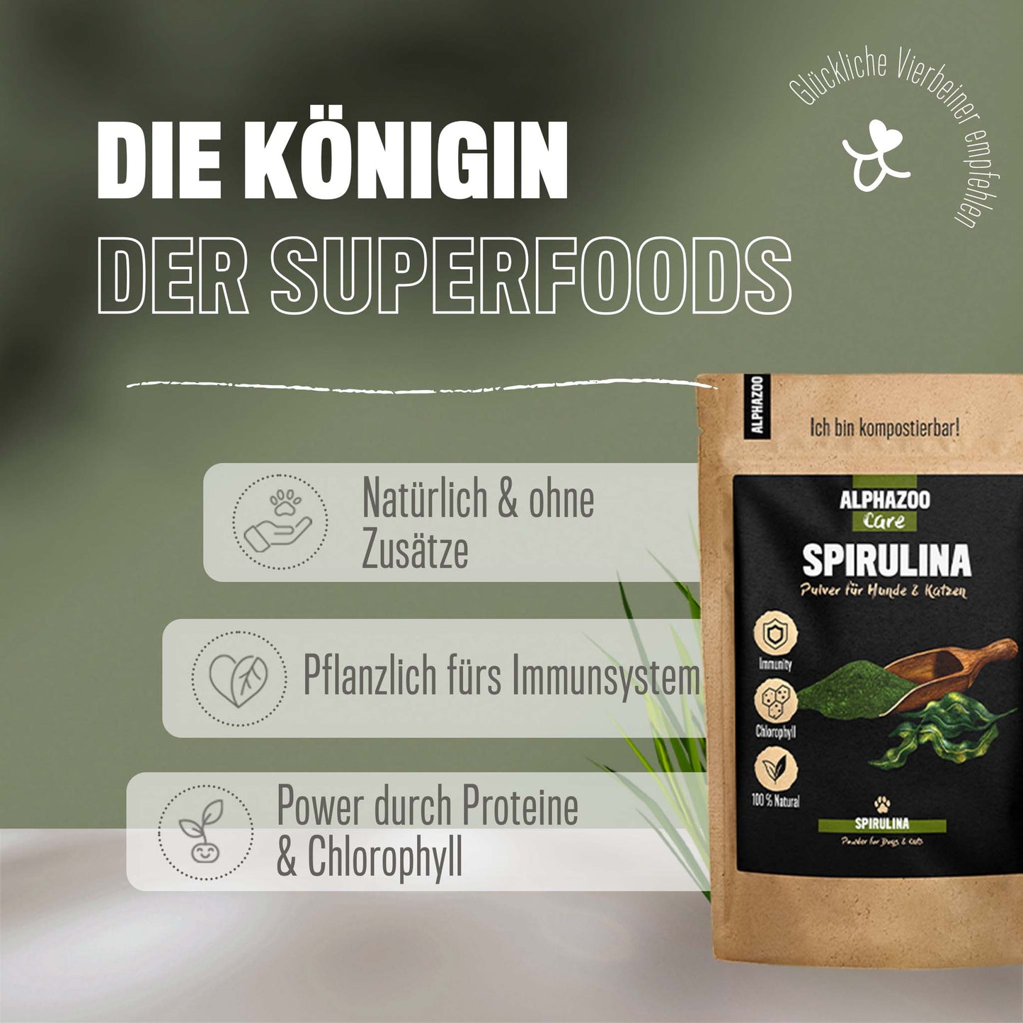 Spirulina powder for dogs & cats I Chlorophyll algae powder