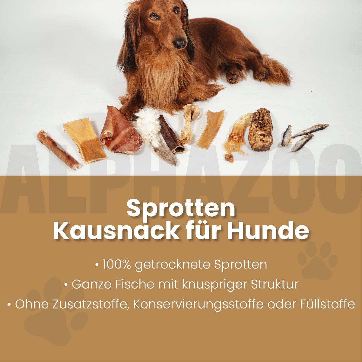 Sprotten