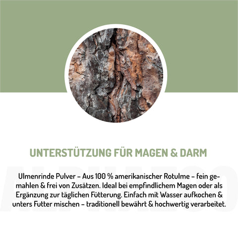 Ulmenrinde Pulver 120 g