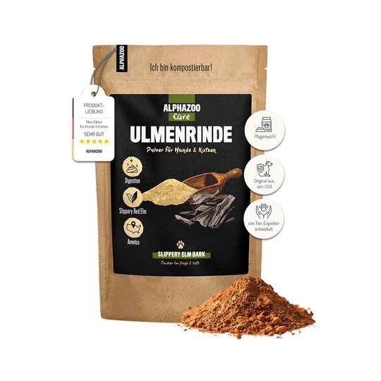 Ulmenrinde Pulver