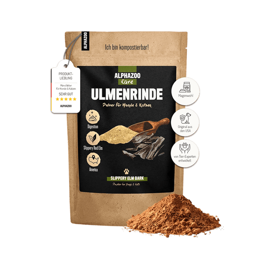 Ulmenrinde Pulver