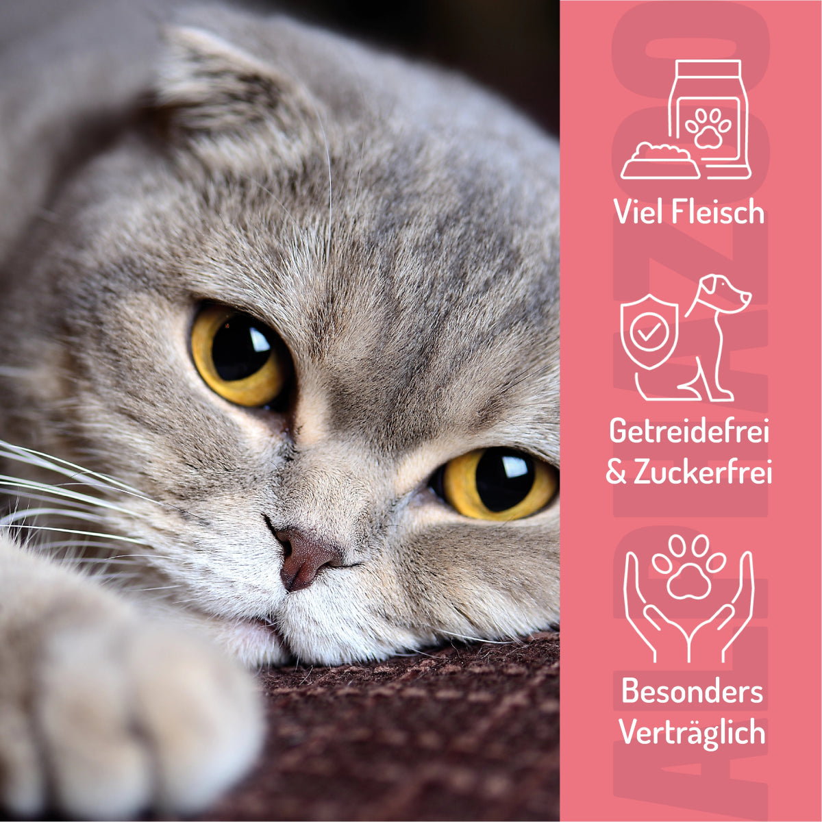 Verlachst Nochmal 65g - ALPHAZOO