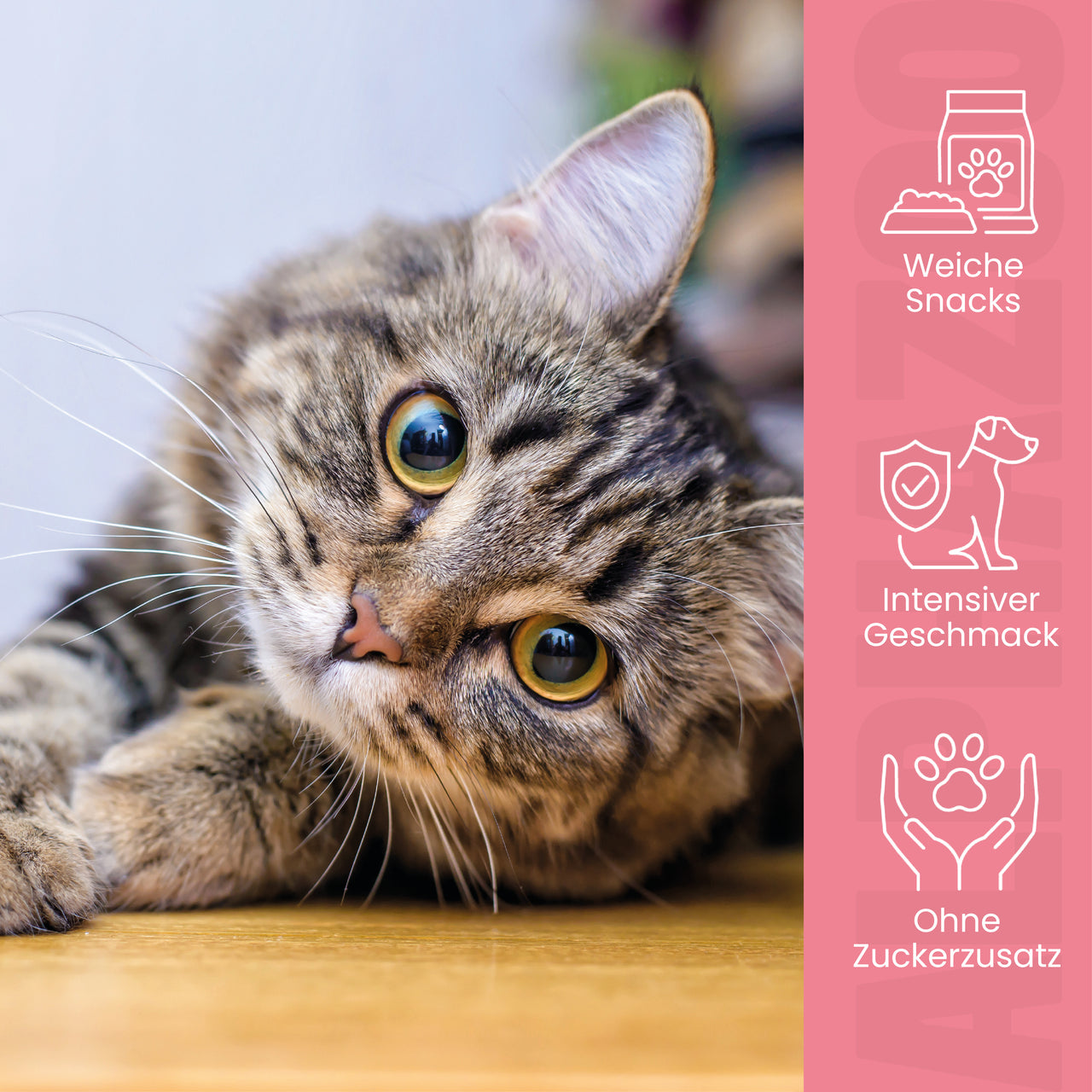 
                      Laughed again 65g Verlachst Nochmal – Snack mit Lachs für Katzen
                      