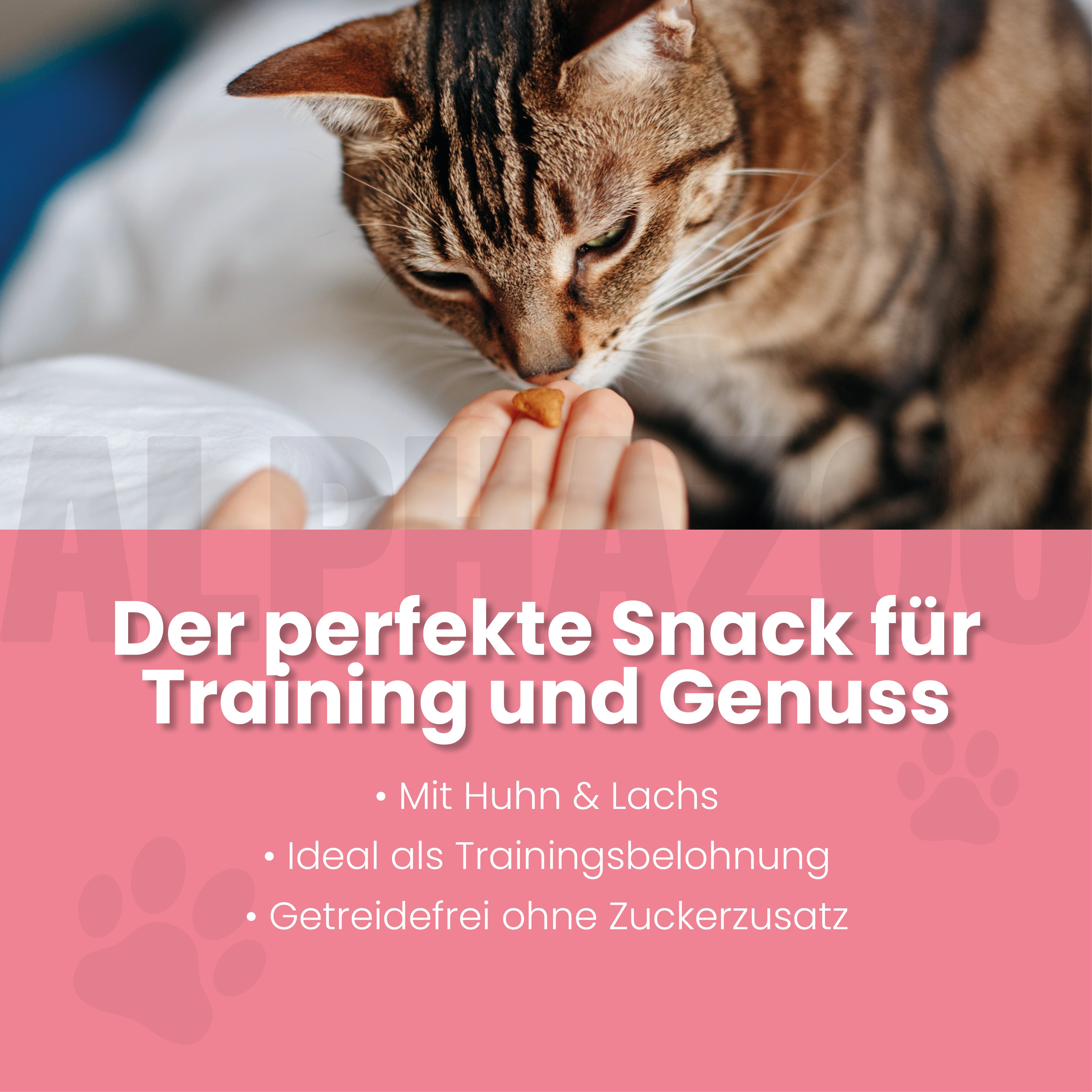 Laughed again 65g Verlachst Nochmal – Snack mit Lachs für Katzen