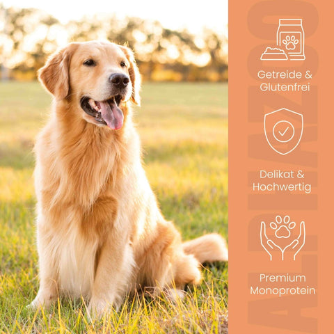 Wild game + beef wet food for adult dogs alphazoo wet food Wild + Beef - grain-free dog food