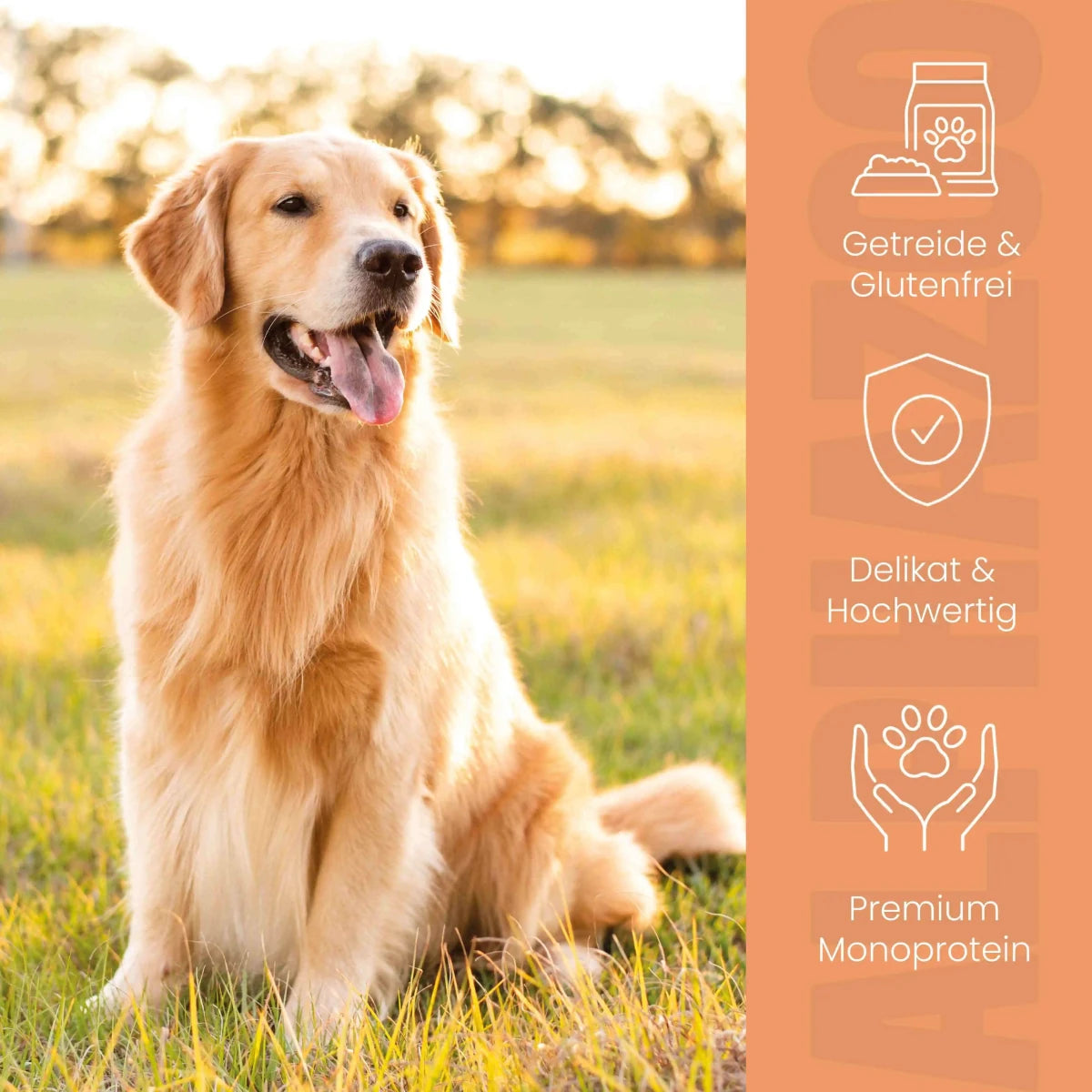 Wild + Rind Nassfutter für Adult Hunde alphazoo Nassfutter Wild + Rind - Hundefutter ohne Getreide