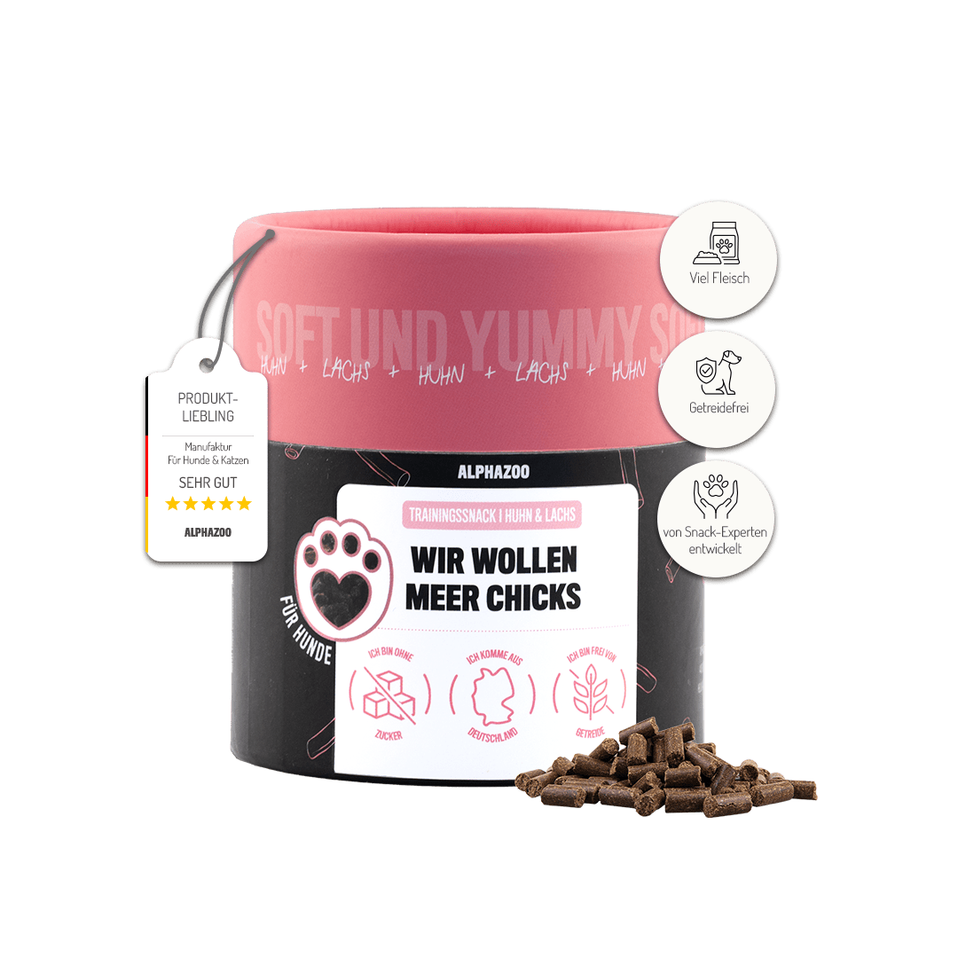 Wir wollen Meer Chicks