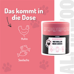 Wir wollen Meer Chicks