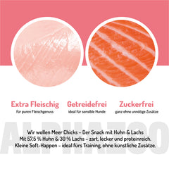 Wir wollen Meer Chicks