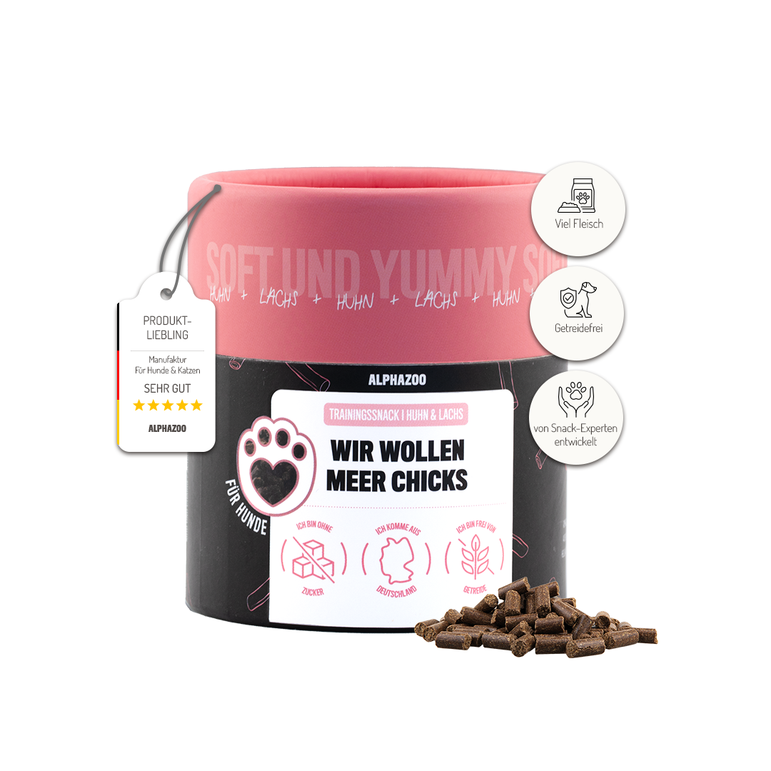 Wir wollen Meer Chicks