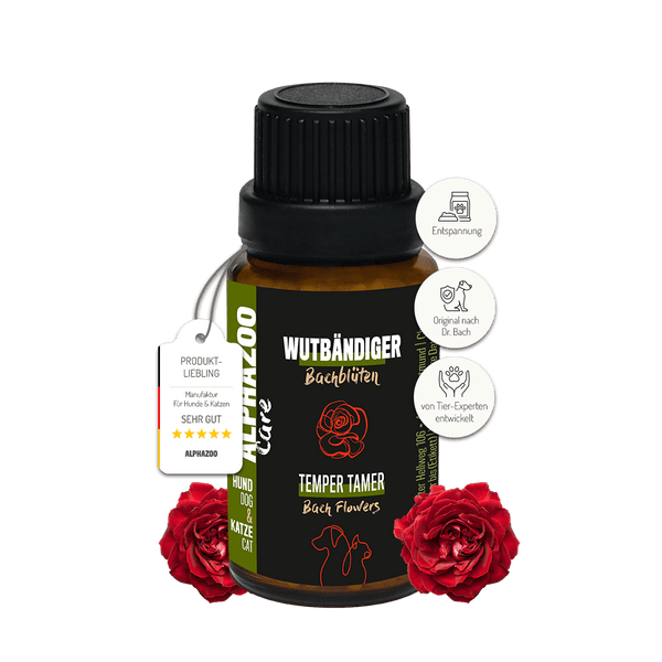 Wutbändiger Bachblüten