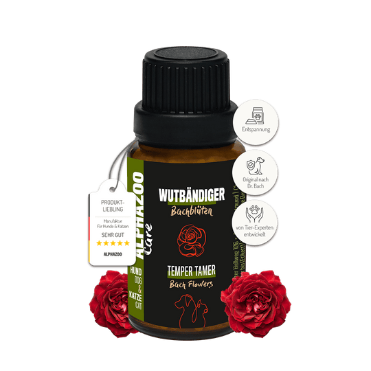 Wutbändiger Bachblüten