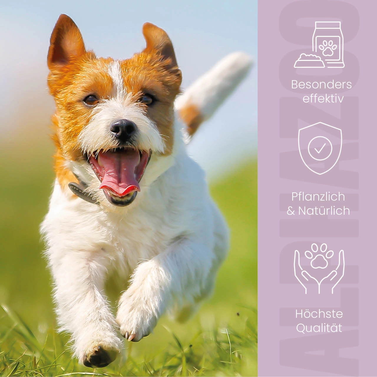 
                      ZeckAttack Spot-On for dogs 100 ml
                      