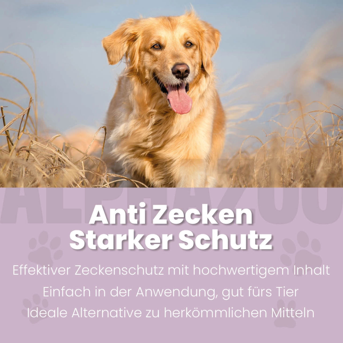 
                      ZeckAttack Spot-On for dogs 100 ml
                      