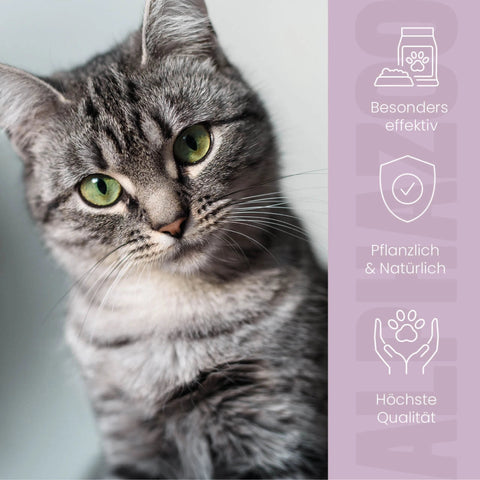 ZeckAttack Spot-On for cats 100 ml