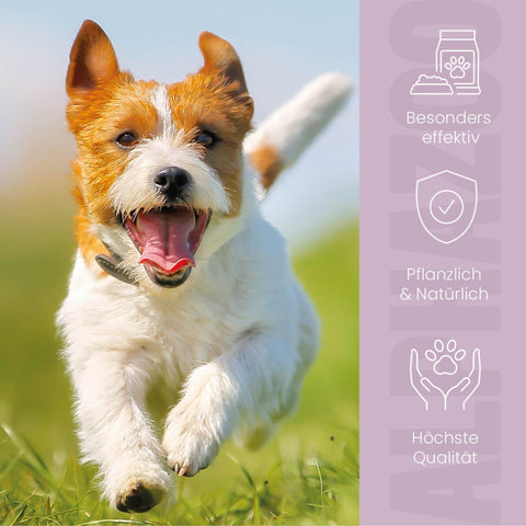 ZeckAttack tick spray for dogs I strong tick protection