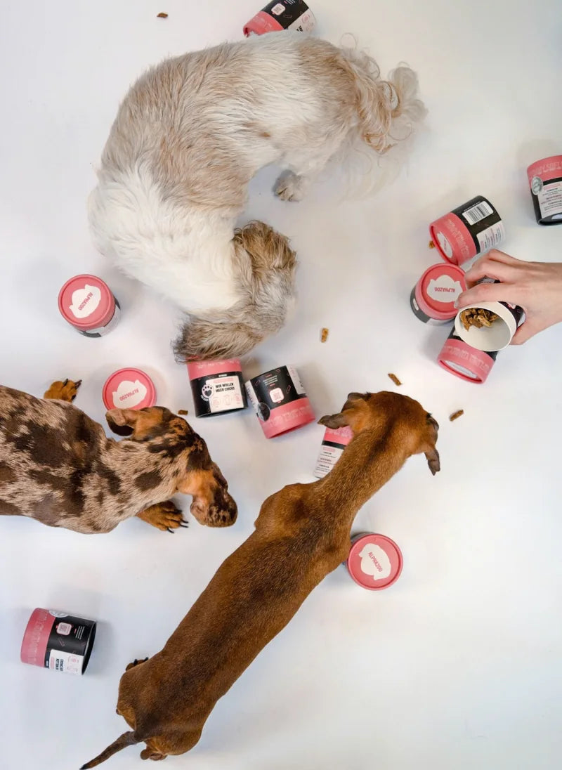 Hunde und ALPHAZOO-Snacks mit rosa Deckeln von oben